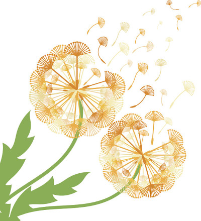 概念蒲公英插图。向量