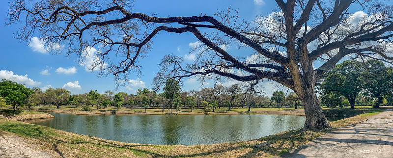 泰国大城府历史名城大城府的大城府寺僧佛寺，在冠状病毒感染期间是空的