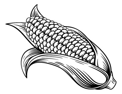 甜玉米穗玉米木刻版画插图