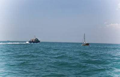 海