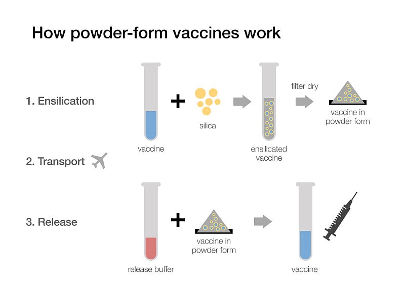 粉状疫苗是如何起作用的