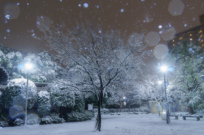 东京的下雪天