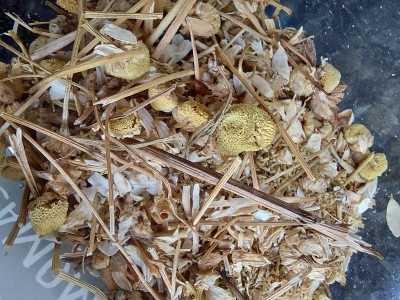 香料系列-洋甘菊