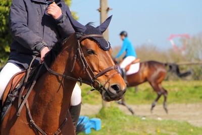 马首