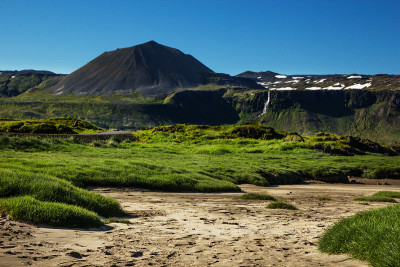 Snaefellsnes火山和沙中的草丛