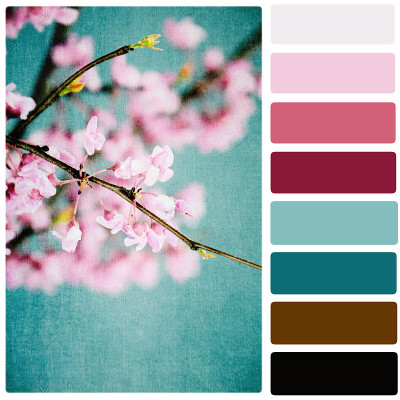 蓝色调色板上的红芽