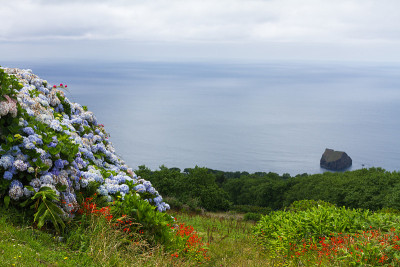 Azorean景观