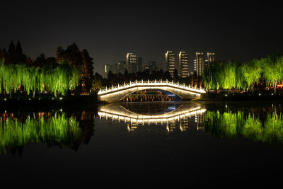 中国湖北武汉东湖的中国桥夜景和城市天际线为背景