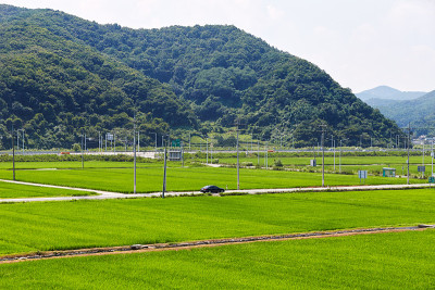 农村景观