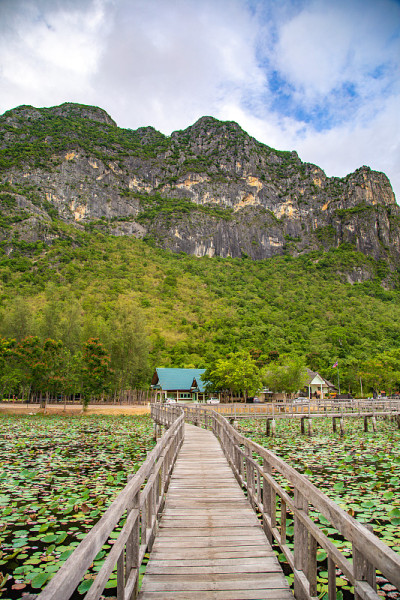 Sam Roi Yot淡水沼泽，走过沼泽，在泰国Prachuap Khiri Khan的Sam Ro