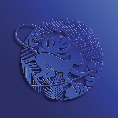 丛林里的蓝猴子
