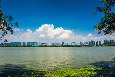 城市