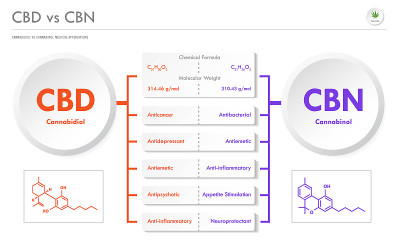 CBD vs CBN, Cannabidiol vs Cannabinol横向商业信息图