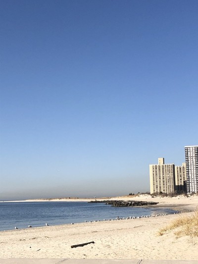 四轮轻便马车海岸线