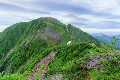 初夏在南阿尔卑斯山徒步旅行