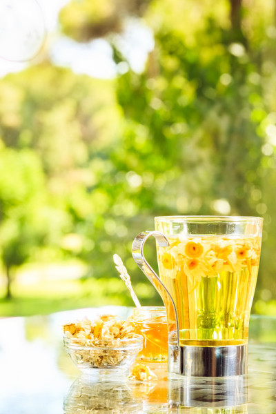草本茶的概念。玻璃杯里的甘菊茶。绿色草地的背景。