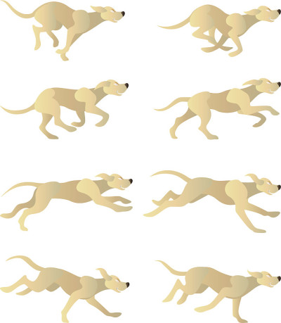 Dogrun周期