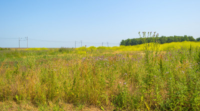 在夏天，铁路穿过一片阳光明媚的风景