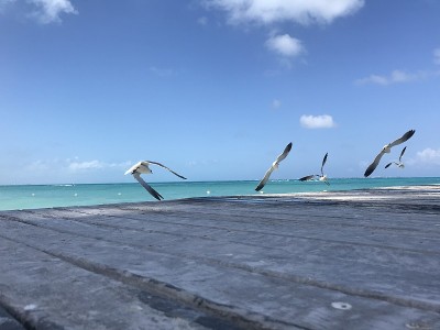 坎昆沙滩上飞