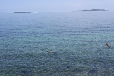 夏天的Kanmon桥