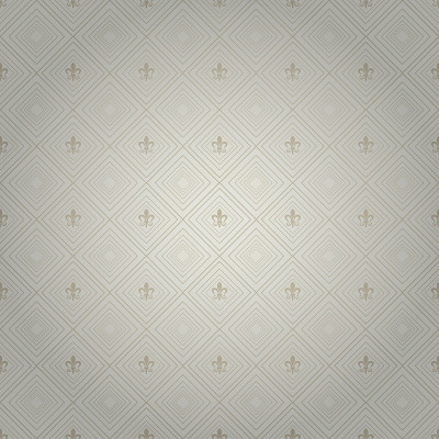 壁纸背景银