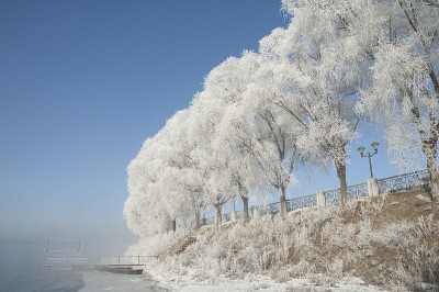 Rime