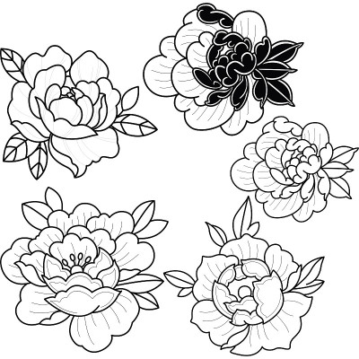 矢量艺术插图花设置玫瑰牡丹