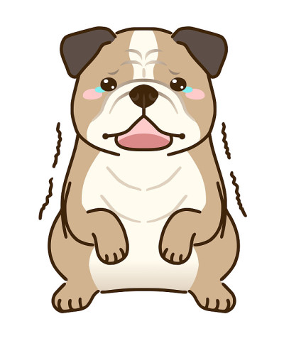害怕斗牛犬