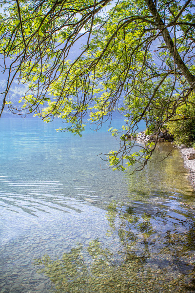 瑞士湖Brienz