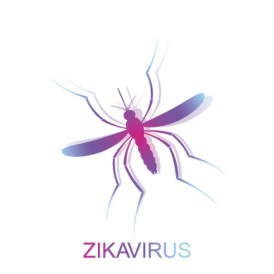 Zika病毒蚊子。病毒警报咬人。埃及伊蚊被隔离