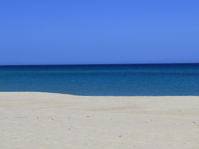 4月海