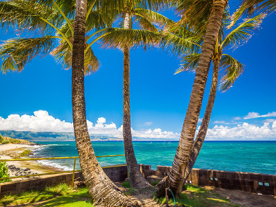 夏威夷毛伊岛的Ho'okipa海滩公园，风帆冲浪的地方，大浪和大海龟