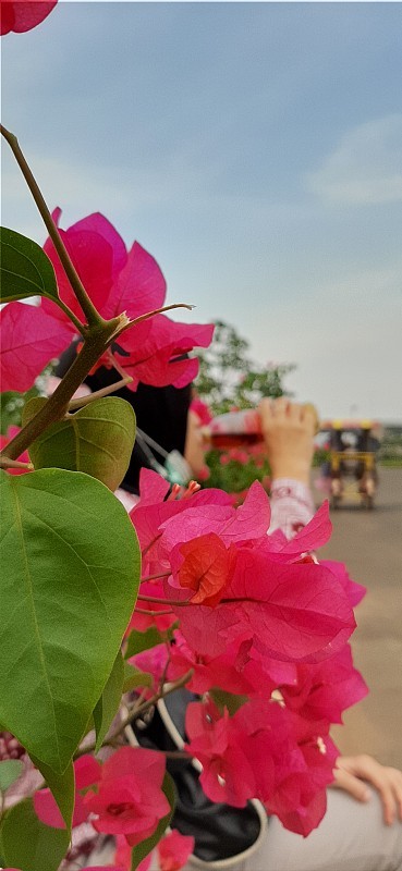 花