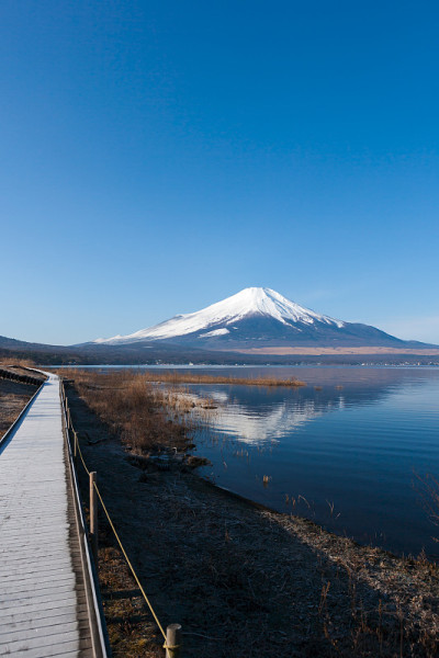 美丽的富士山从山中子湖