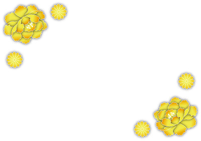 牡丹と菊の和柄