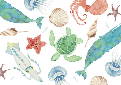 海洋生物纺织