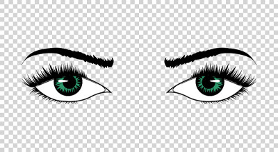 Vector eyes. Hand drawn female luxury eye with per