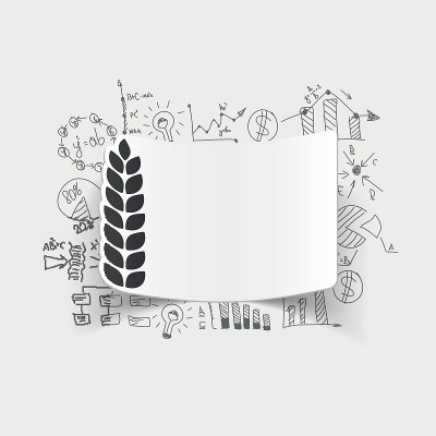 商业公式。耳朵的小麦