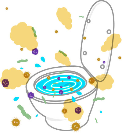 厕所的气味和真菌。
