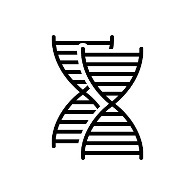 基因遗传
