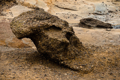 Point Lobos State Reserve