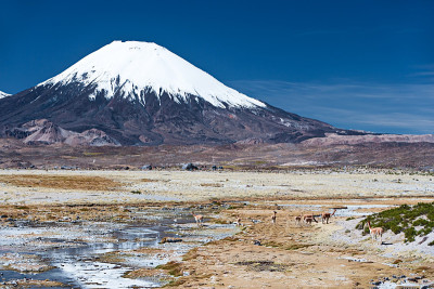智利劳卡国家公园的帕里纳科塔火山