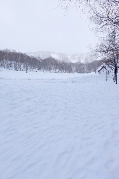 房子在雪地和树林中