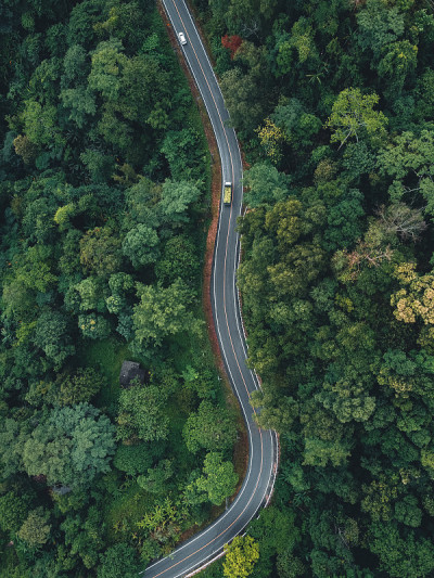 在雨季，绿油油的路爬上山