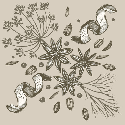 矢量背景与手绘草药和香料。手绘墨水插图。有机和新鲜香料插图