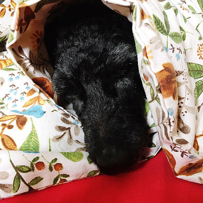 别惹麻烦