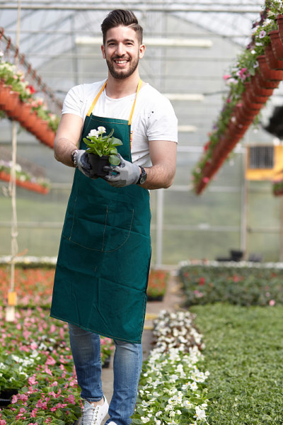 快乐的男性苗圃工人修剪温室植物