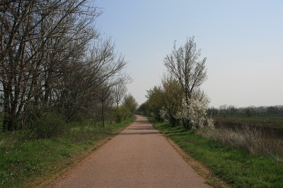 长乡间小路