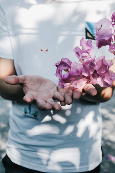 美丽的粉红大三角梅(bougainvillea spectabilis)是一种开花植物。花的手。