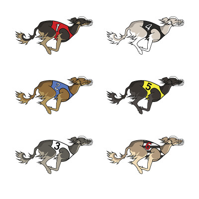 萨卢基犬